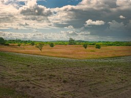 IMGP6138-1_Brasendbaelte